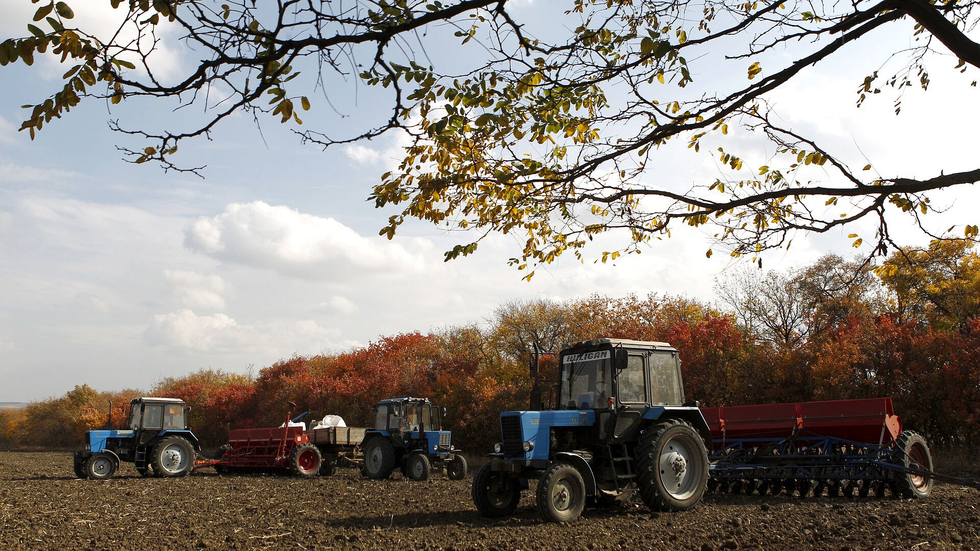 � ������� ������� ����� ������ ����� �� ����� ����������