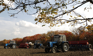 В Курской области хотят ввести режим ЧС после заморозков