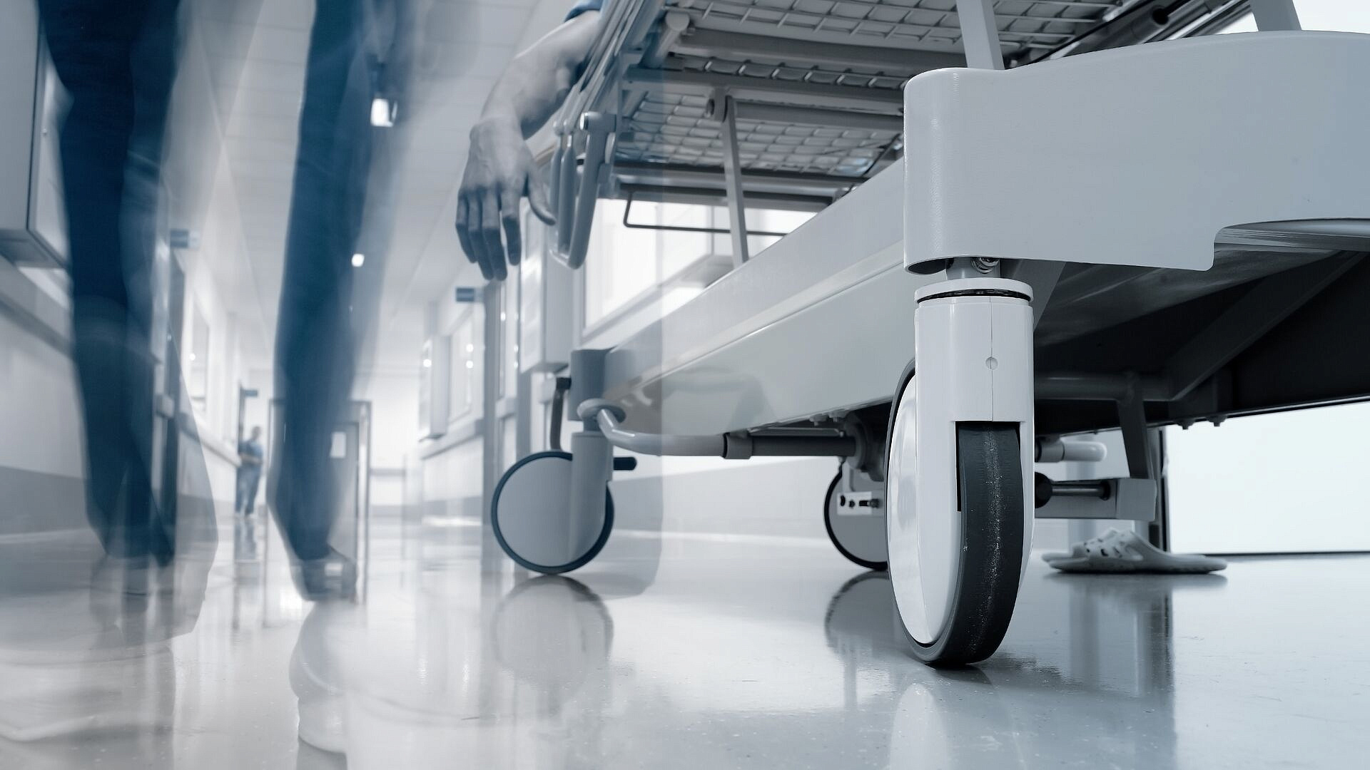 � ������ ��������� ������� ����� �� �������������