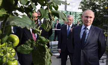 Путин назвал зависимость от зарубежной продукции в АПК ахиллесовой пятой