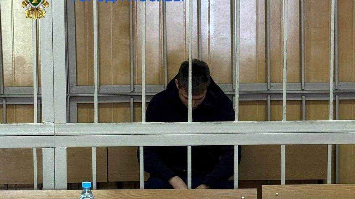 Водитель, сбивший пешеходов в Москве, объяснил, почему покинул место ДТП