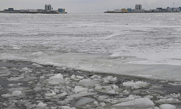 В Финском заливе столкнулись грузовые суда