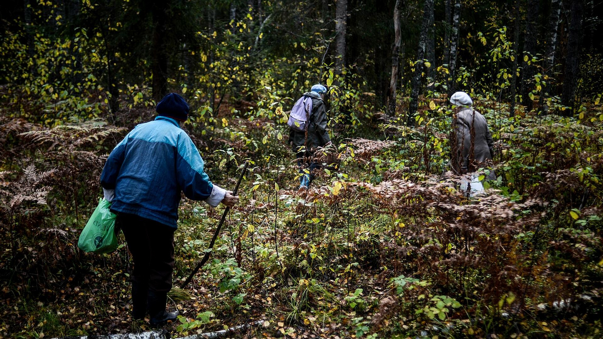 �������� ����������, ��� �� ���������� � ����