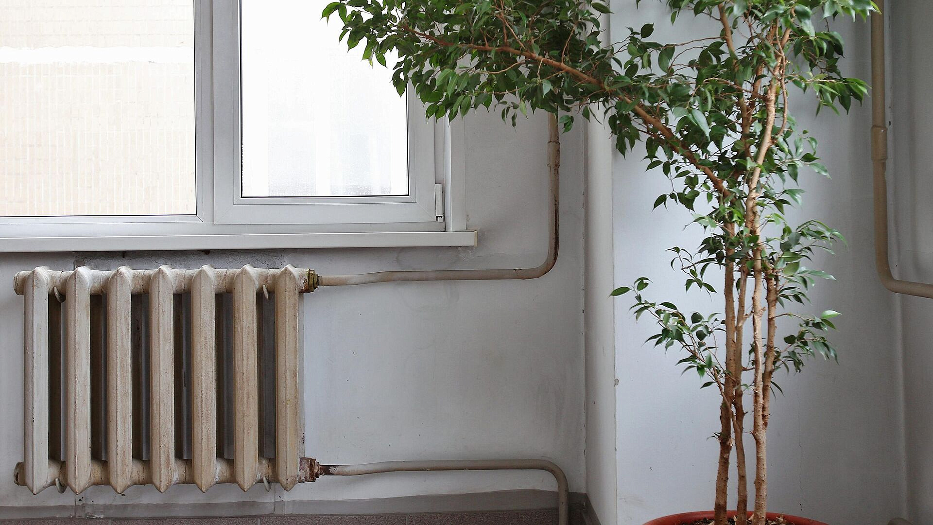 ������ �������������� ���������� ����� ������� �������� ���������� �����