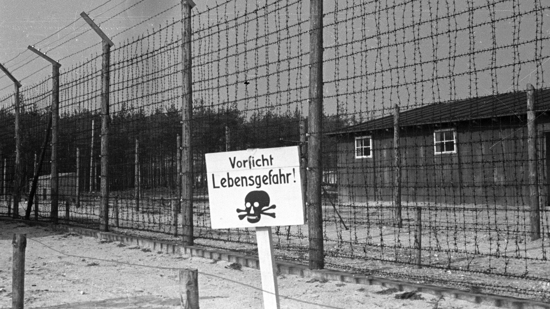 ������� �������� �������� "������������" �����������, ���������� ���