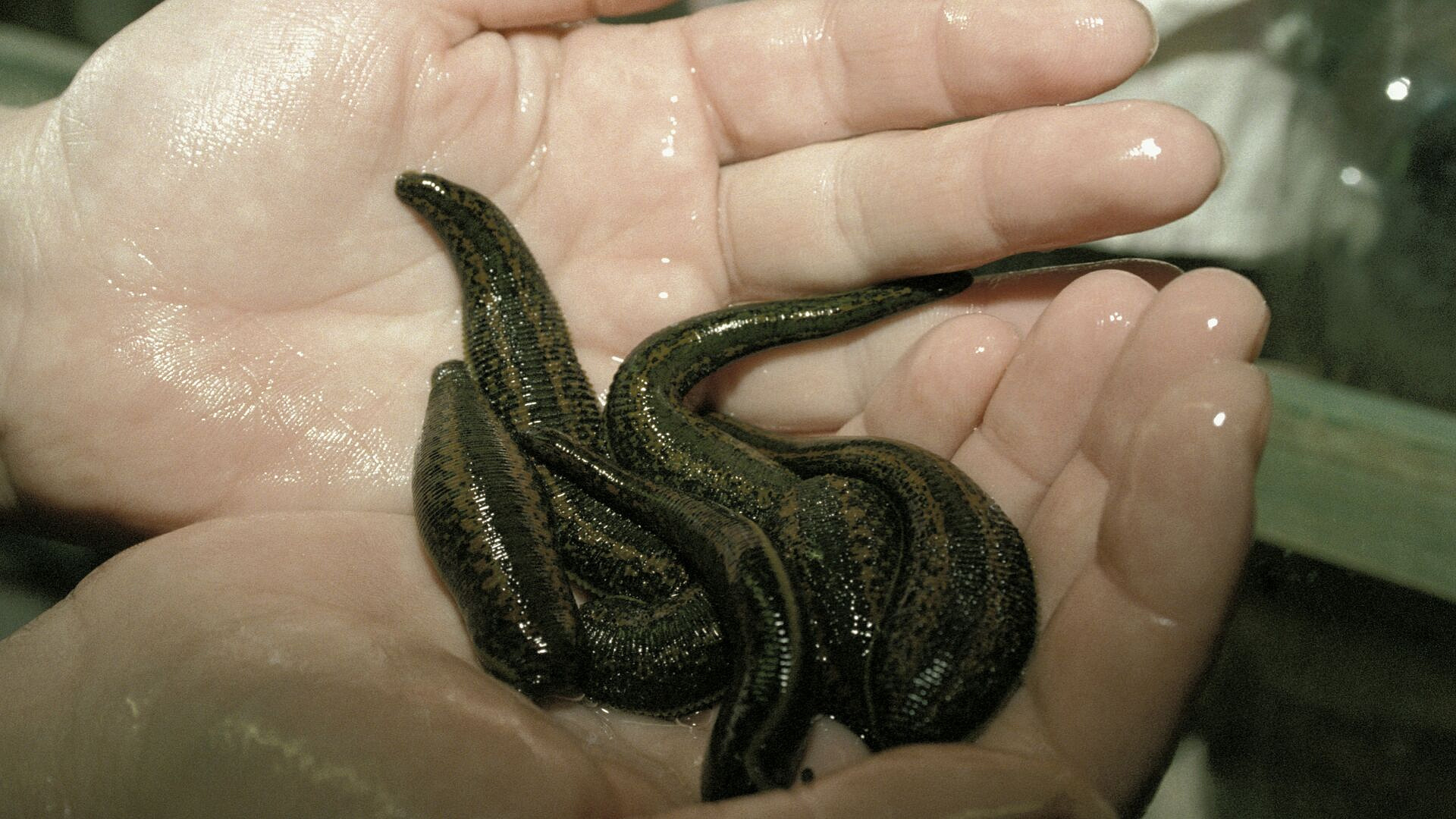 � ��������� �������� ������� ��������� � 90 �������� ������