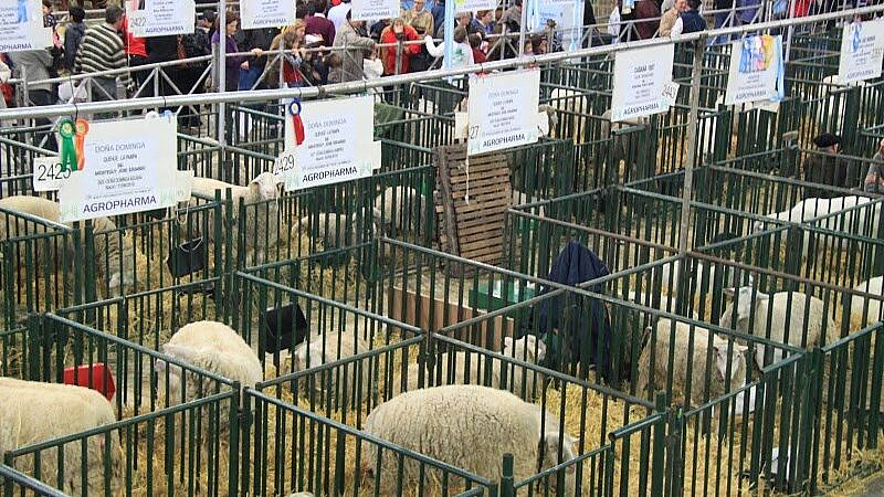 ��������� ����� ������ �� ������� ������ �����