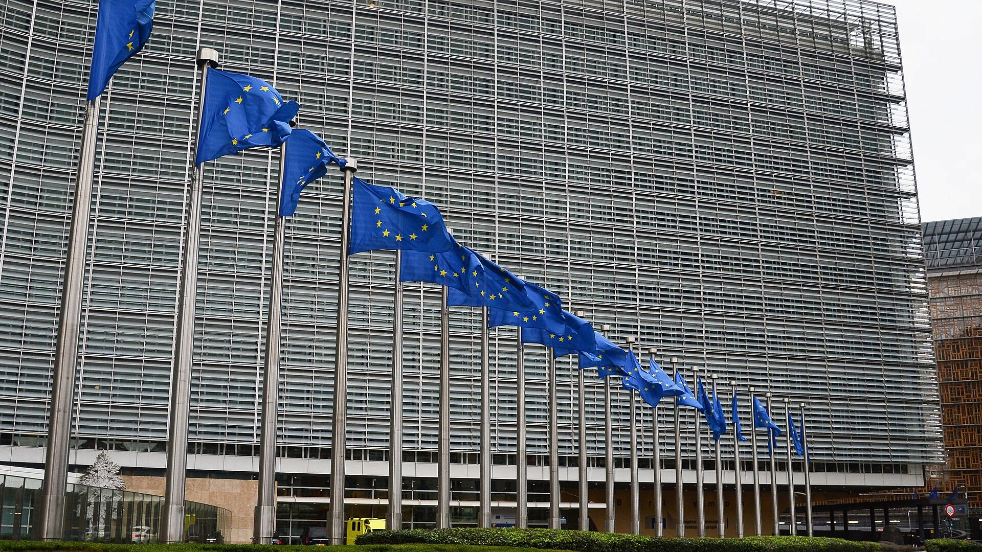 "��������� ������": � ������ ������������ �� ��� � ������