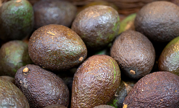 В России появится первое органическое авокадо из Эквадора