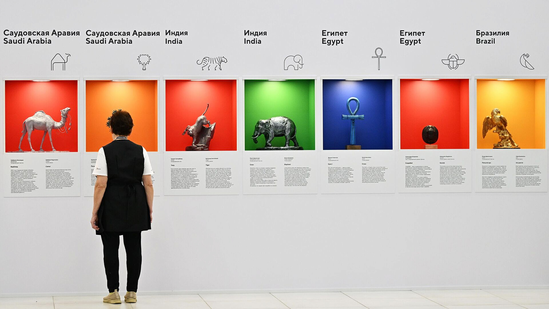 На саммите БРИКС представили "Этнографическую мозаику" стран объединения