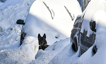 Синоптик рассказал о росте сугробов в Москве