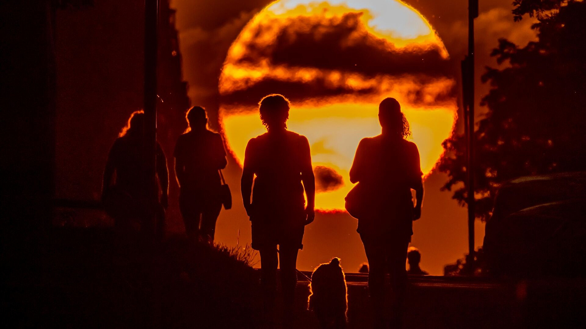 Вильфанд рассказал о погоде в России в День летнего солнцестояния