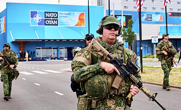 "Просто использует". На Западе раскрыли, до чего Россия довела НАТО