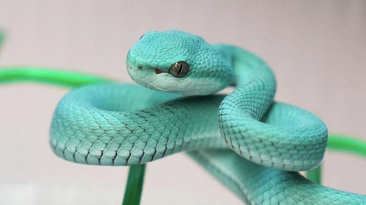 � ���������� �������� ������� ������� ��������� �����