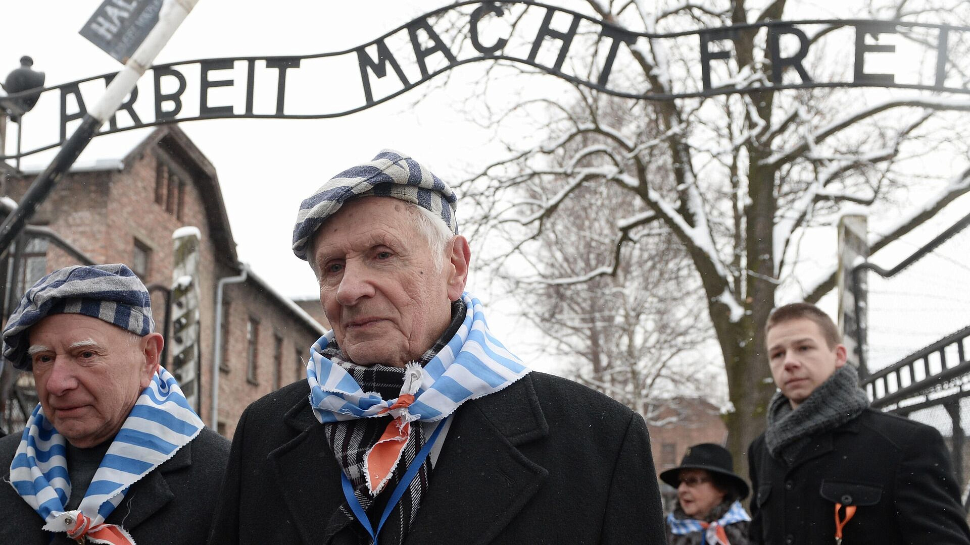 Узники Освенцима не могли представить, что подвиги СССР подвергнут сомнению