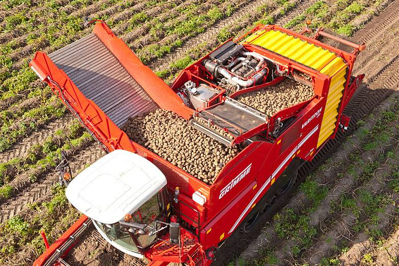 В России ожидается рекордный урожай картофеля