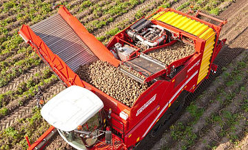 В России ожидается рекордный урожай картофеля