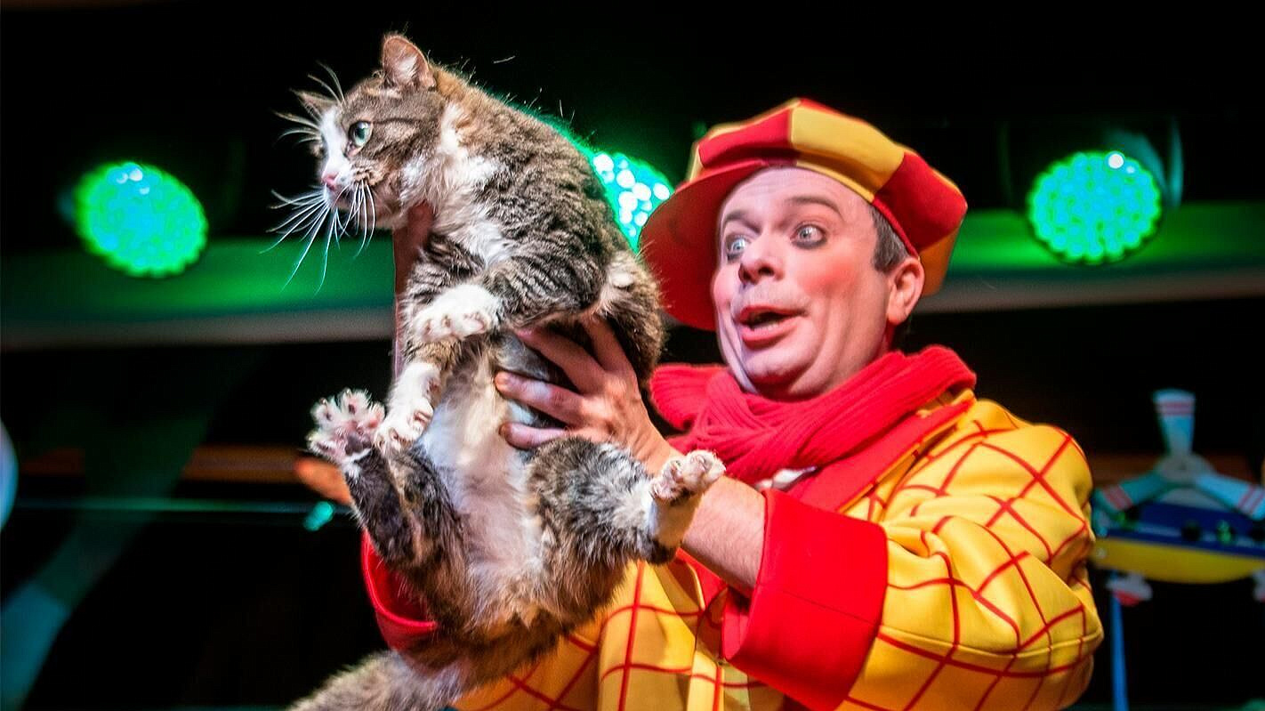 Спасенная из зоны СВО кошка Глуша дебютировала в театре Куклачева