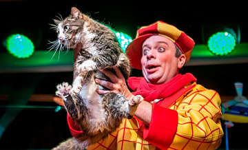 Спасенная из зоны СВО кошка Глуша дебютировала в театре Куклачева