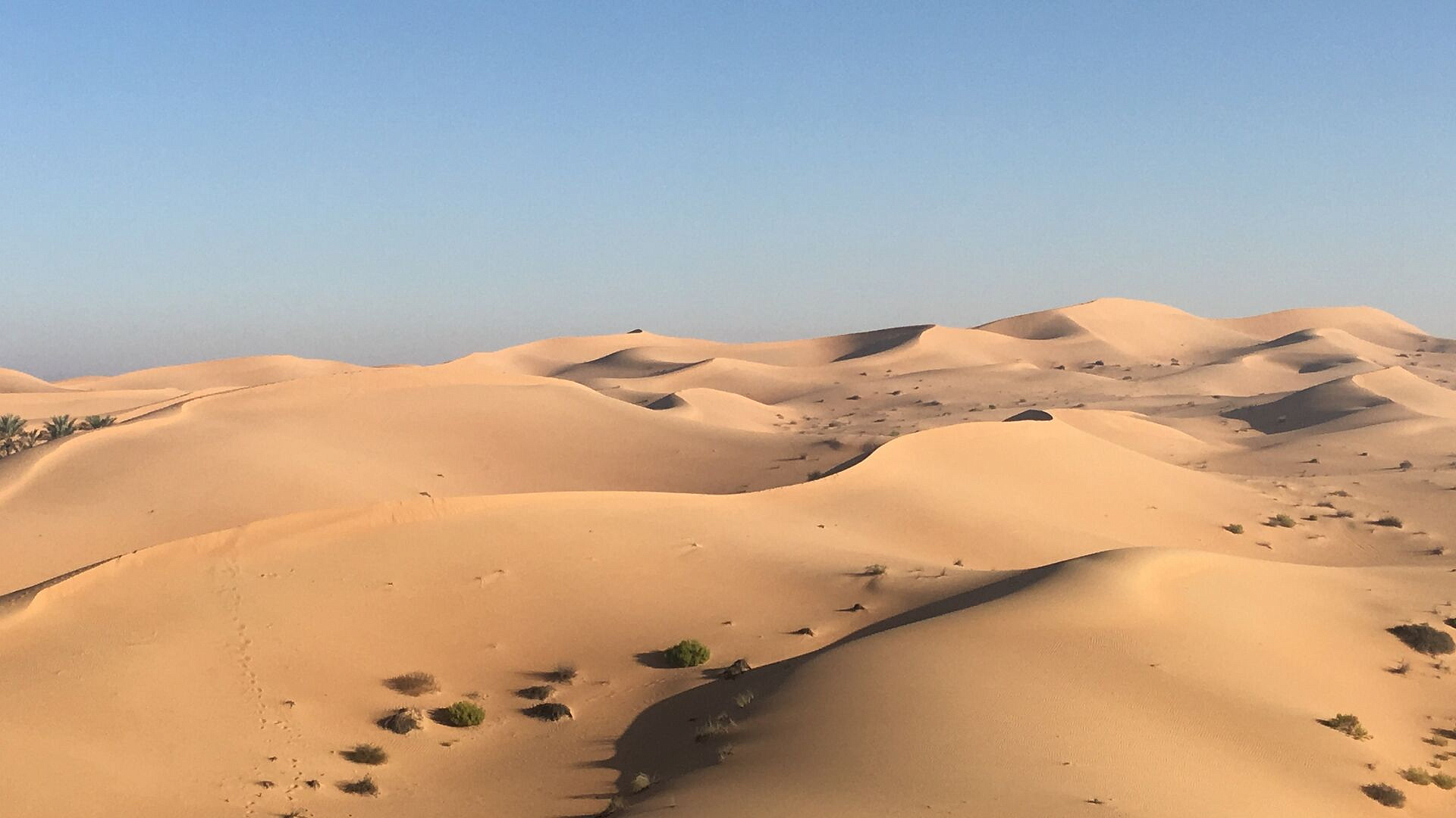 Россиянка рассказала, как пряталась в пустыне во время ударов по ОАЭ