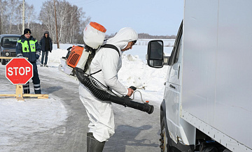 В Новосибирской области не фиксируют новых очагов пастереллеза