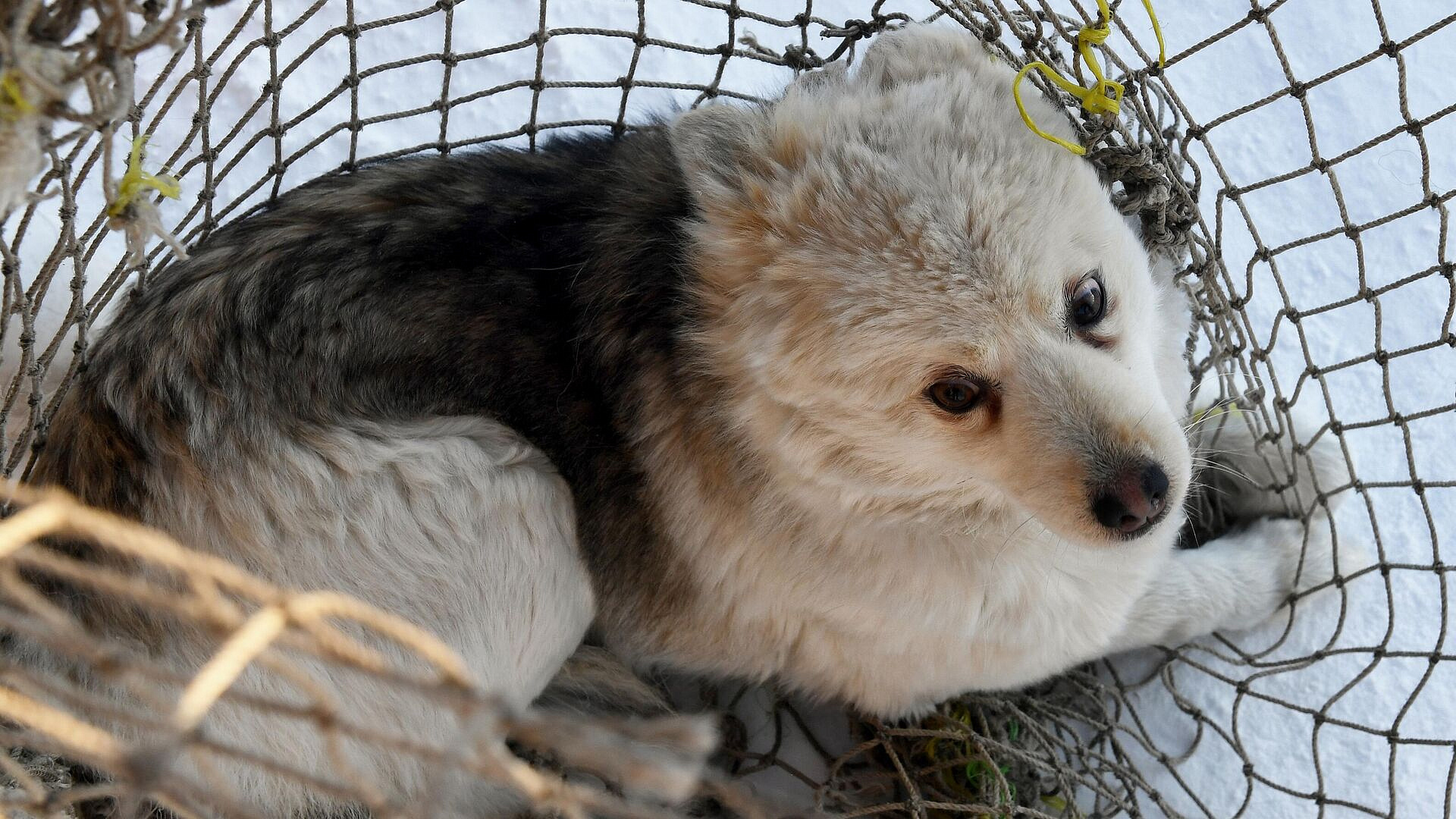 � ������������� ����� ����������� ������������ ����� ���� � ����������