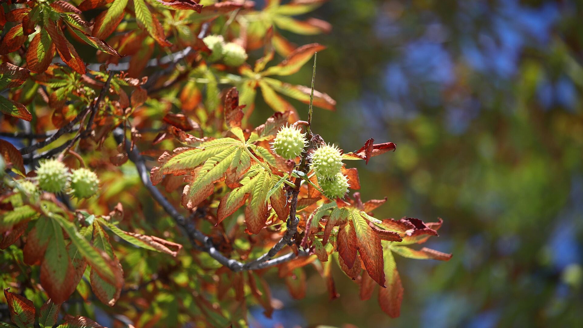 Названы регионы России, где температура воздуха выше климатической нормы