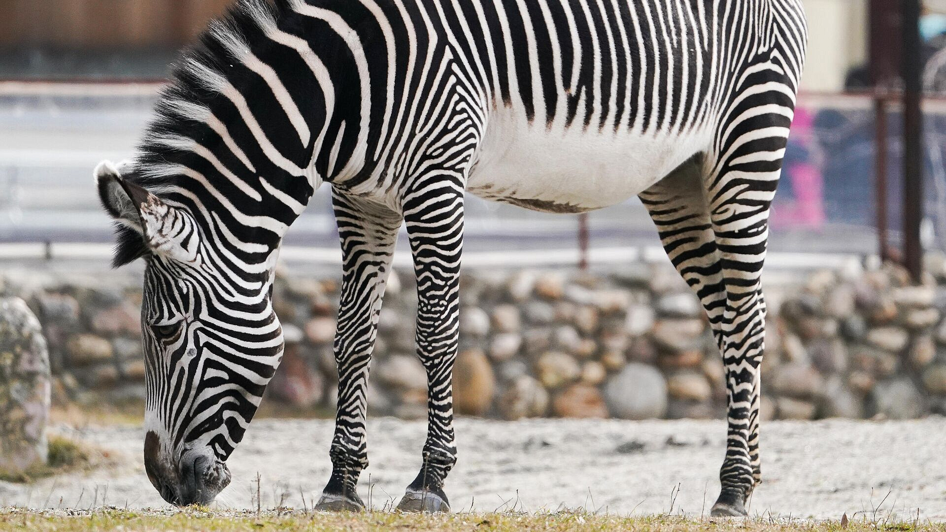 � ���������� �������� ������ ����� ��������� ������ �� ������� � �������