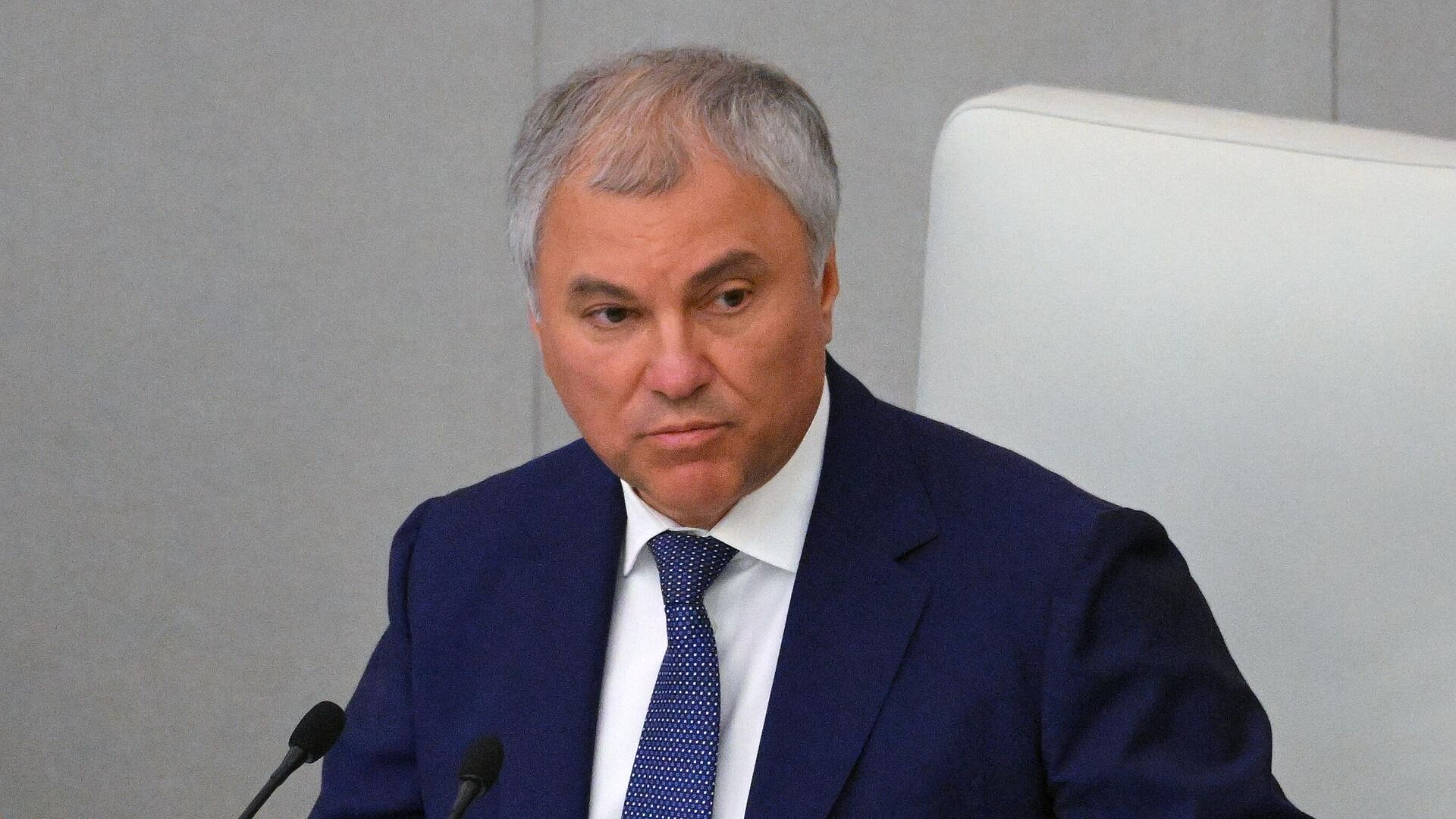 Володин обсудил с делегацией Словакии вопросы активизации сотрудничества