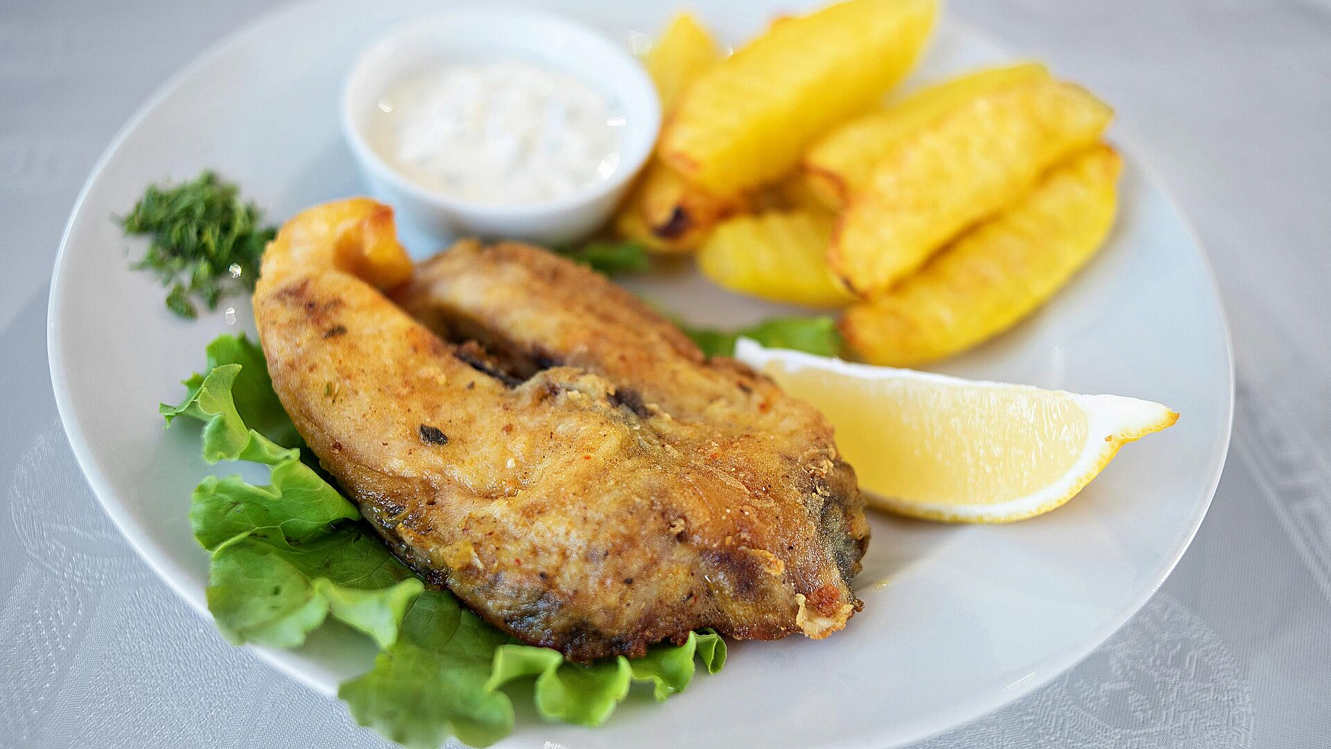 ���� ����������, ���� ����� ���������� �� ������������ ������ ����