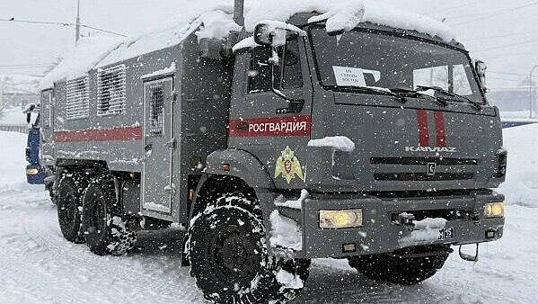 Росгвардия изъяла более 140 тысяч единиц оружия в 2025 году