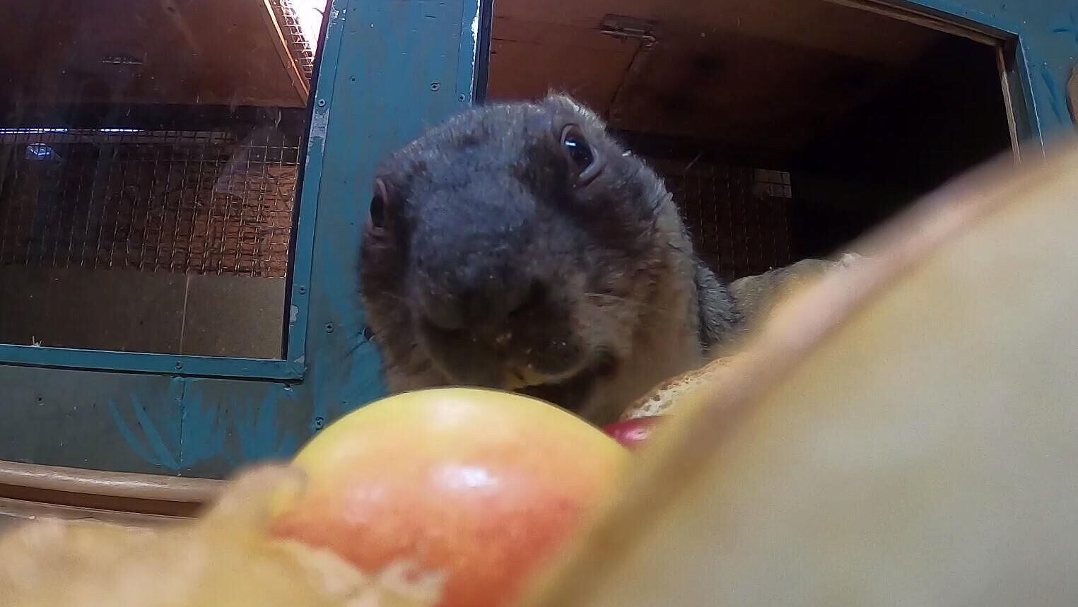 �������� ����� ������ ���������� ������ �����