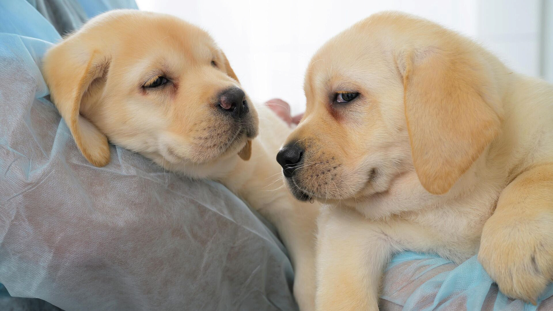 ��������: � ������� ����������� ��������� ������������ ������� ��� ��������