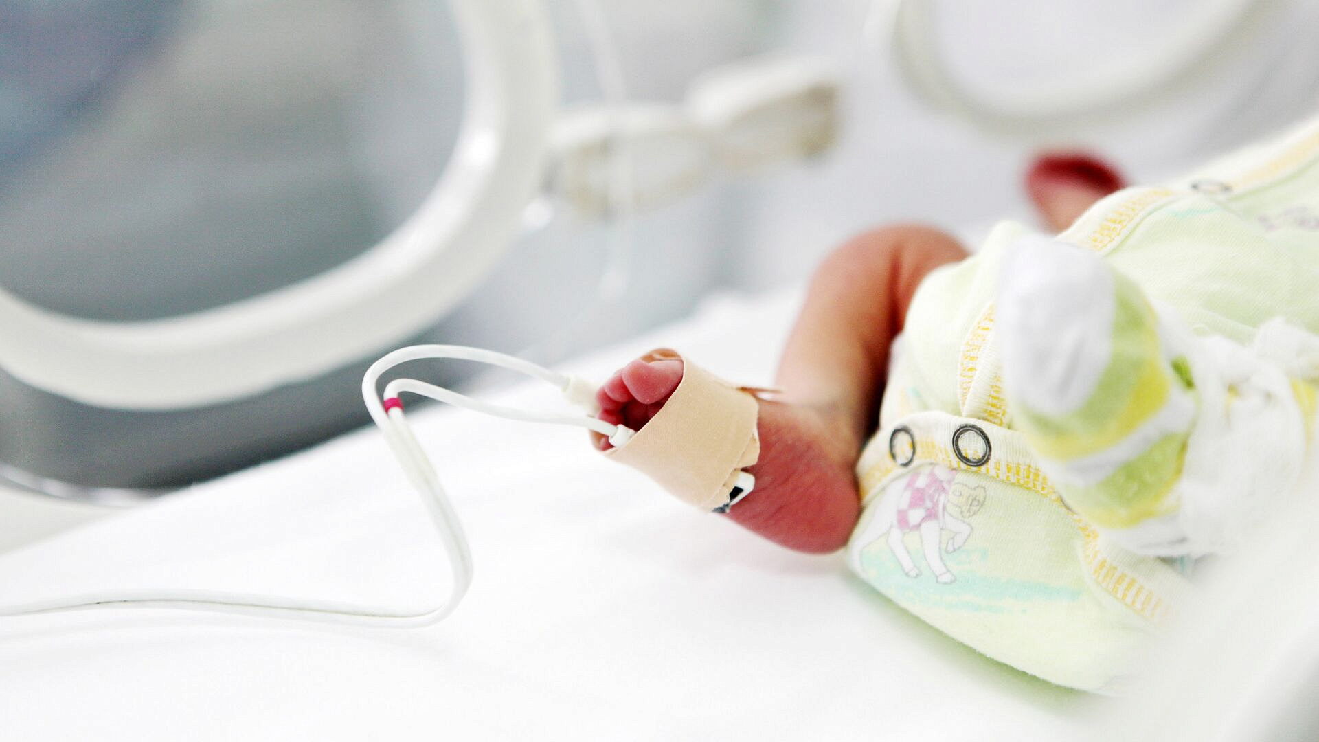 ����� ����� �� ������� No1 � ������������ ��������� � ����������