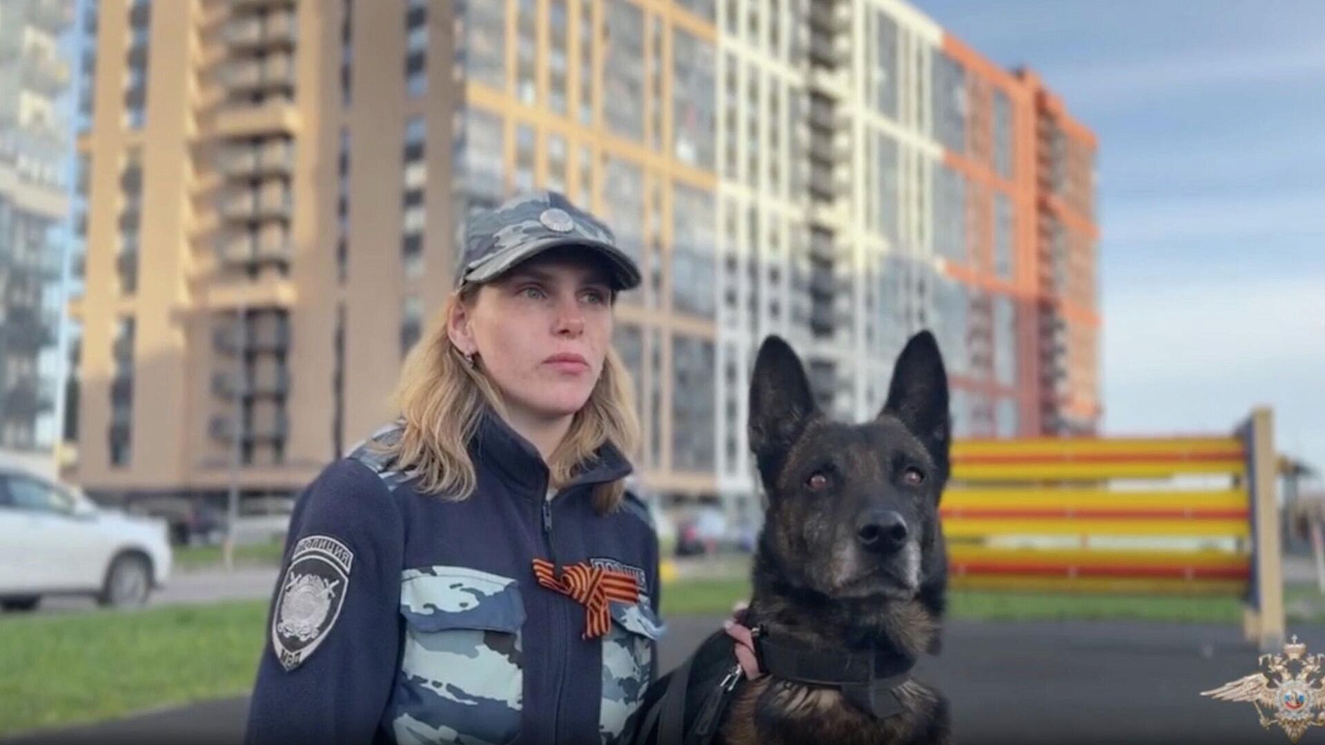 Служебная собака помогла найти ребенка, пропавшего в Ленинградской области