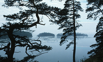 В Карелии обследовали остров Валаам в поисках пропавшей послушницы