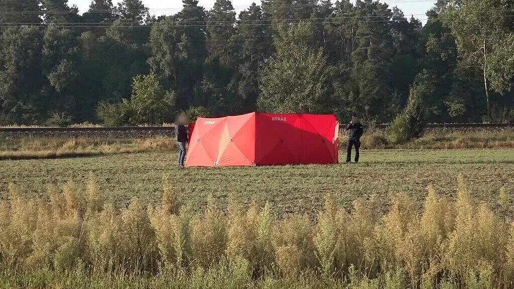Медведев предположил, кто может стоять за инцидентом с дронами в Европе