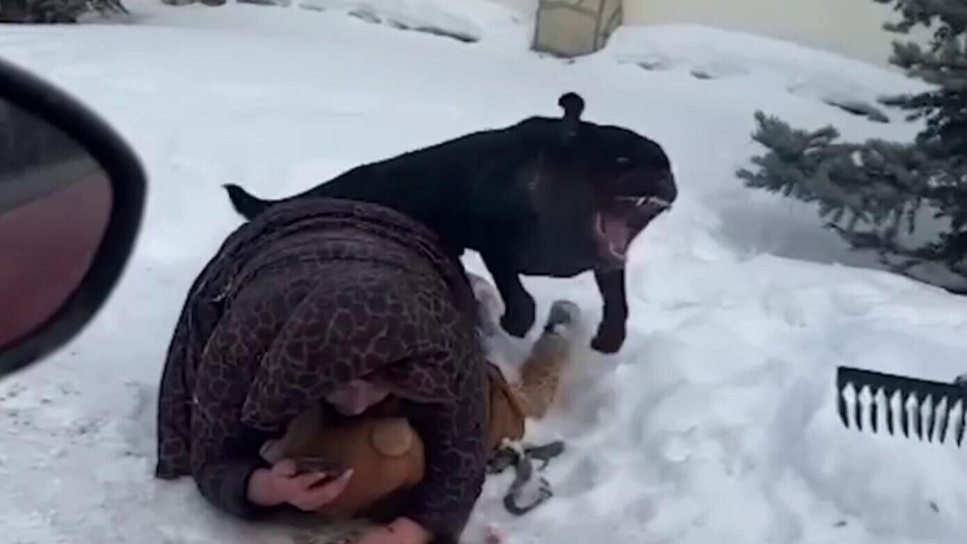 ��������� ����������� � ��������� ���������� �� ���� � �������� �� �����