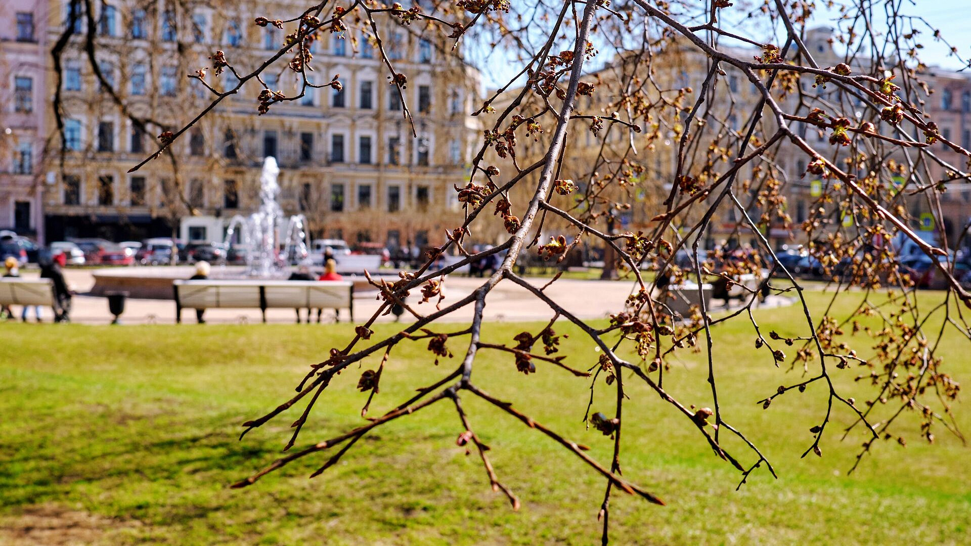 Названы самые популярные у семей с детьми направления на майские праздники