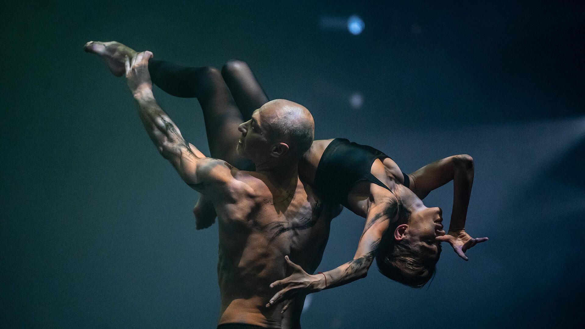 Балет "1234" в БДТ объединил танцоров России, Израиля, Германии, Португалии