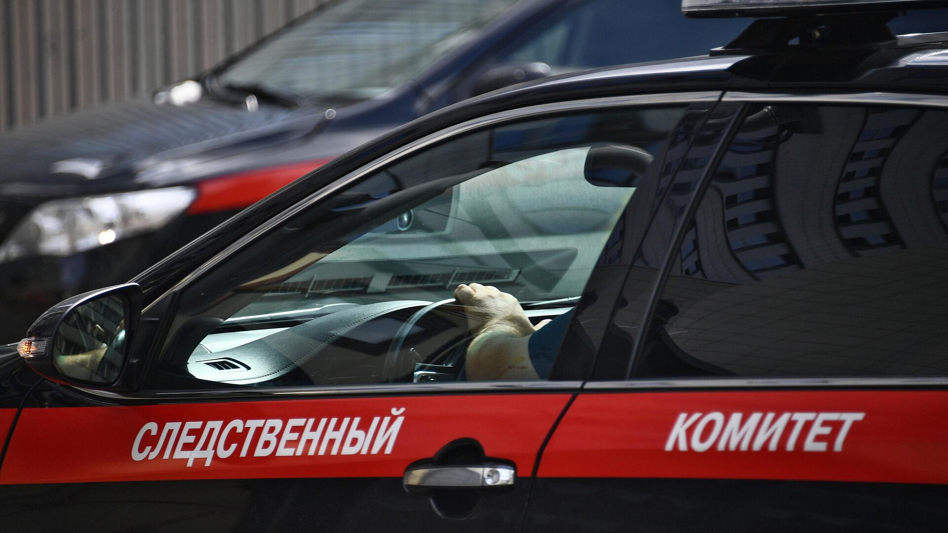 В Подмосковье возбудили дело против мужчины, ранившего ножом девочку