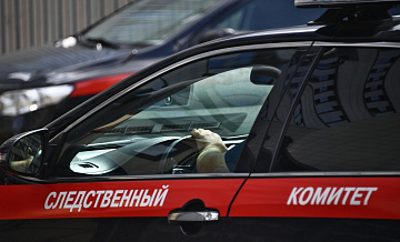 В Подмосковье возбудили дело против мужчины, ранившего ножом девочку