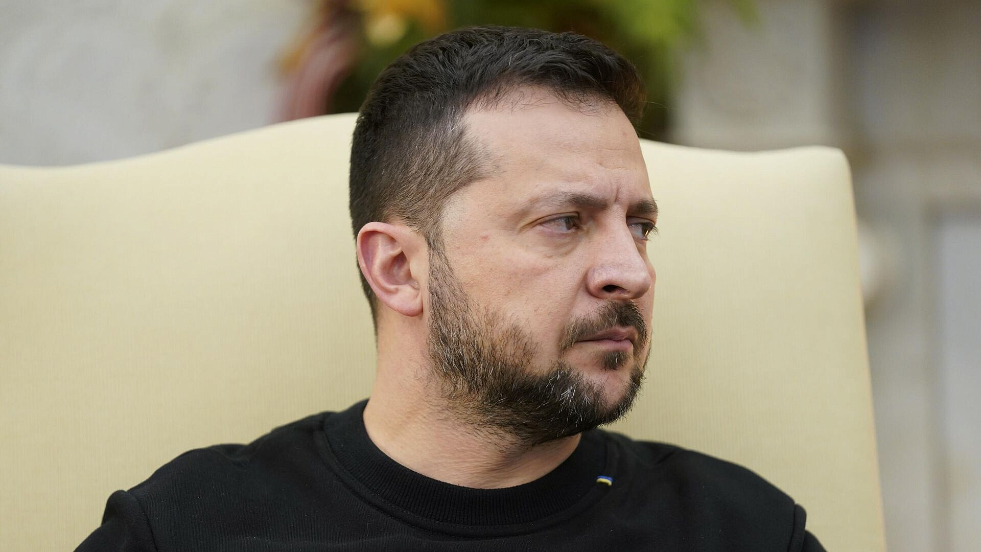 Зеленский пытается продать войну Европе, заявил Медведчук