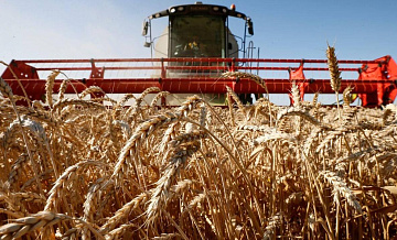 Россия на данный момент собрала порядка 114 миллионов тонн зерновых