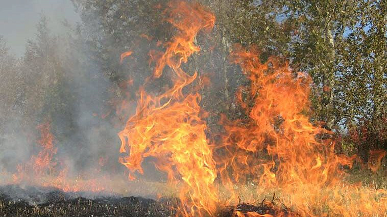 В Крыму у села Краснокаменка локализовали пожар