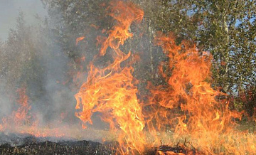 В Крыму у села Краснокаменка локализовали пожар