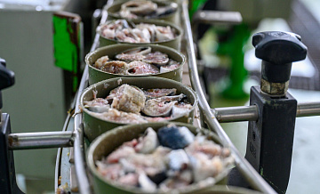 Роскачество проверило 19 торговых марок сардин с маслом