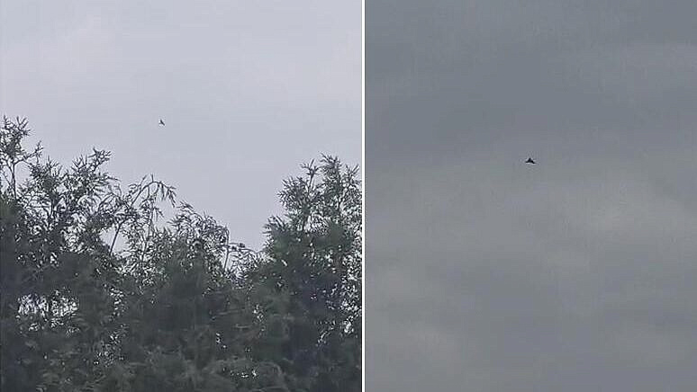 В Польше объяснили появление дронов над районами, граничащими с Украиной