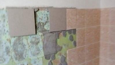 СК проверит школу в Омске с осыпающейся плиткой и мышами