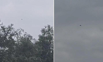В Польше объяснили появление дронов над районами, граничащими с Украиной